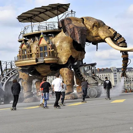 Douce Ambiance Au Coeur De Avec Hoomy